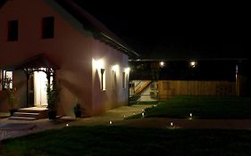 The Jungle Apartments And Rooms